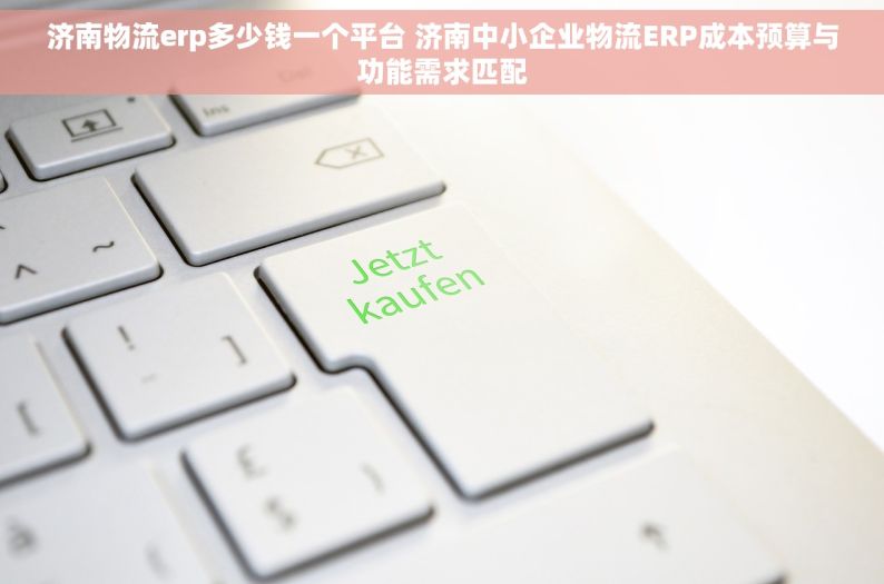 济南物流erp多少钱一个平台 济南中小企业物流ERP成本预算与功能需求匹配