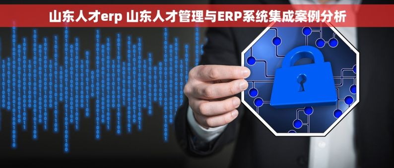 山东人才erp 山东人才管理与ERP系统集成案例分析