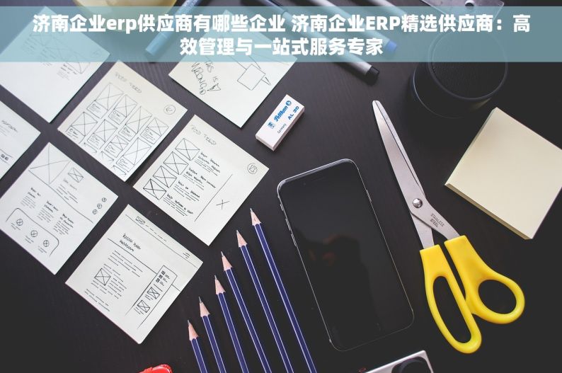 济南企业erp供应商有哪些企业 济南企业ERP精选供应商：高效管理与一站式服务专家