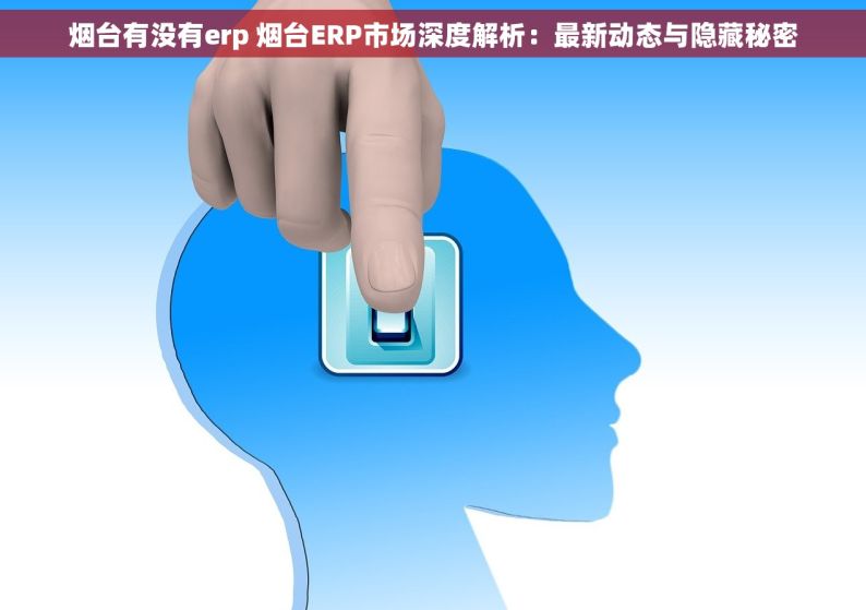 烟台有没有erp 烟台ERP市场深度解析：最新动态与隐藏秘密