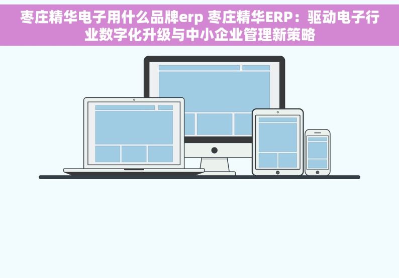 枣庄精华电子用什么品牌erp 枣庄精华ERP：驱动电子行业数字化升级与中小企业管理新策略