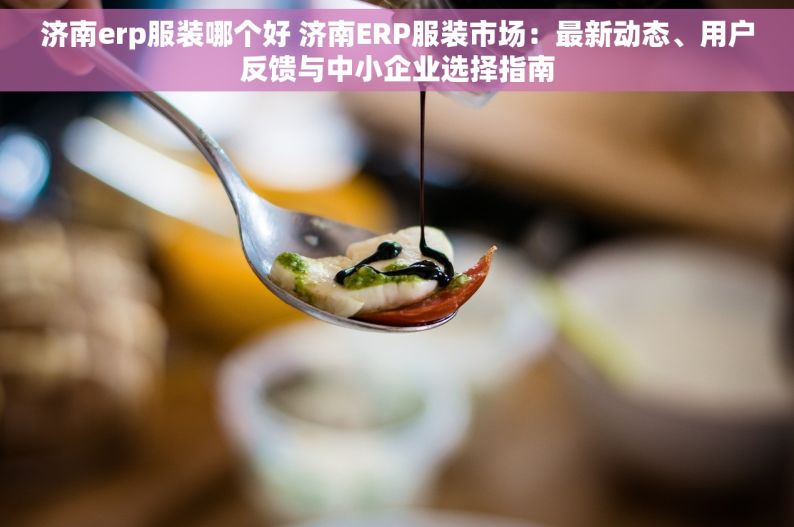 济南erp服装哪个好 济南ERP服装市场：最新动态、用户反馈与中小企业选择指南