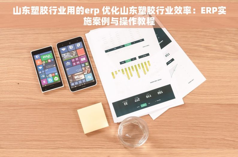 山东塑胶行业用的erp 优化山东塑胶行业效率：ERP实施案例与操作教程