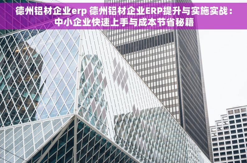 德州铝材企业erp 德州铝材企业ERP提升与实施实战：中小企业快速上手与成本节省秘籍