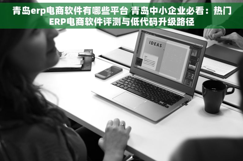 青岛erp电商软件有哪些平台 青岛中小企业必看：热门ERP电商软件评测与低代码升级路径