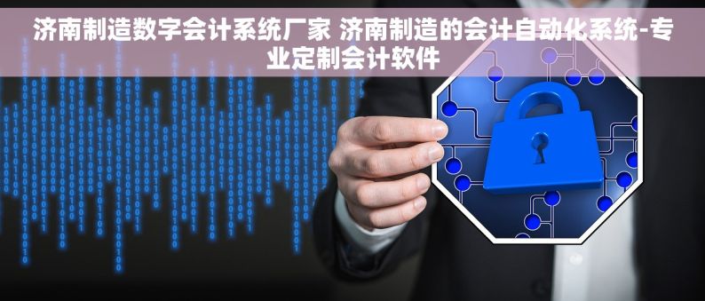 济南制造数字会计系统厂家 济南制造的会计自动化系统-专业定制会计软件