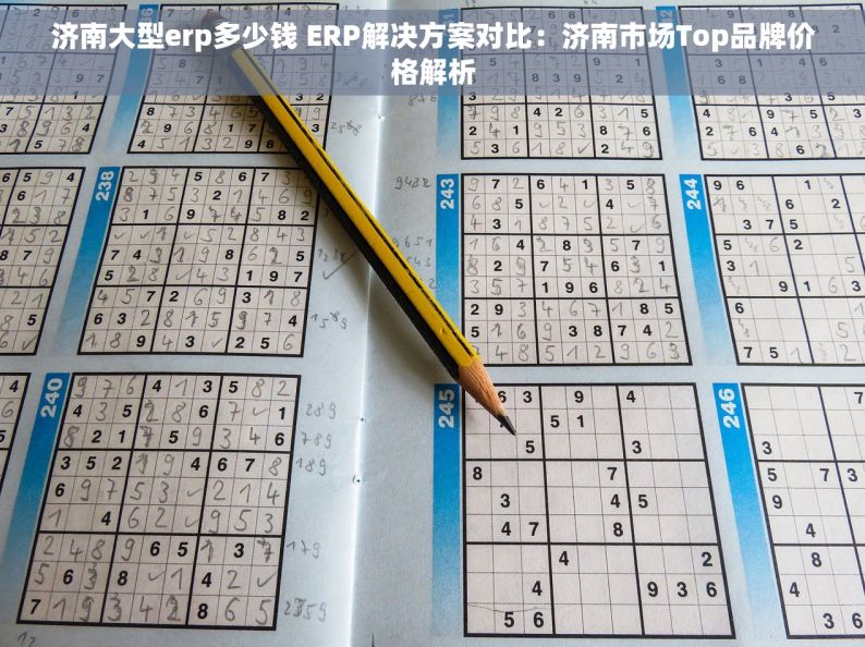 济南大型erp多少钱 ERP解决方案对比：济南市场Top品牌价格解析