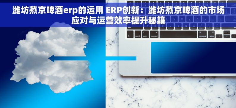 潍坊燕京啤酒erp的运用 ERP创新：潍坊燕京啤酒的市场应对与运营效率提升秘籍