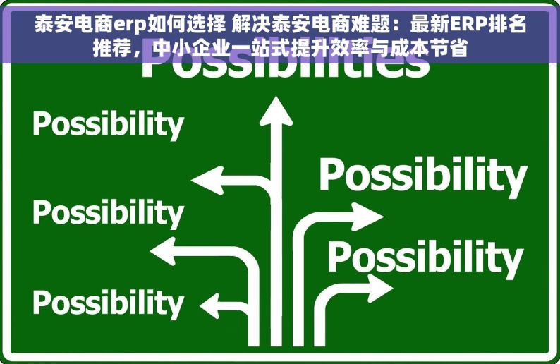 泰安电商erp如何选择 解决泰安电商难题：最新ERP排名推荐，中小企业一站式提升效率与成本节省