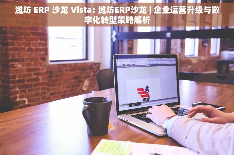 潍坊 ERP 沙龙 Vista: 潍坊ERP沙龙 | 企业运营升级与数字化转型策略解析