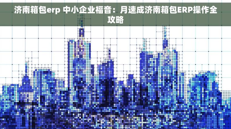 济南箱包erp 中小企业福音：月速成济南箱包ERP操作全攻略