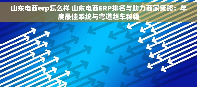 山东电商erp怎么样 山东电商ERP排名与助力商家策略：年度最佳系统与弯道超车秘籍