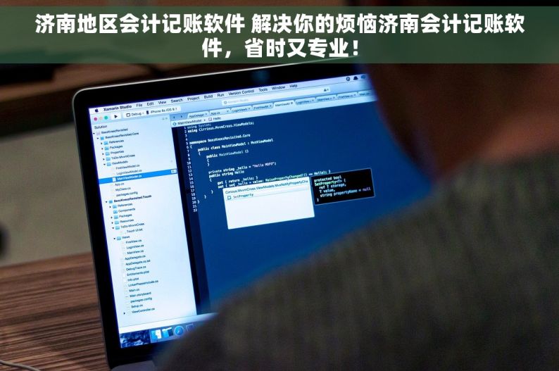 济南地区会计记账软件 解决你的烦恼济南会计记账软件，省时又专业！