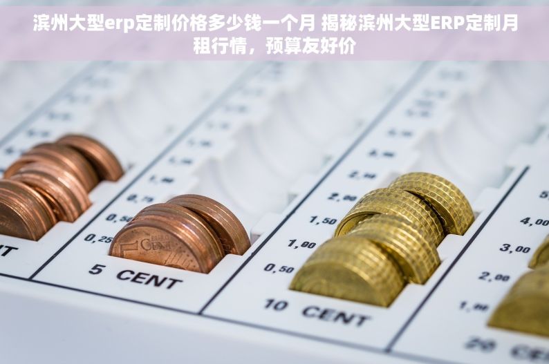 滨州大型erp定制价格多少钱一个月 揭秘滨州大型ERP定制月租行情，预算友好价