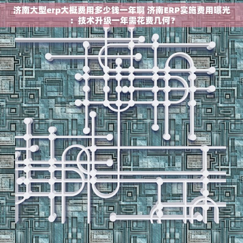 济南大型erp大概费用多少钱一年啊 济南ERP实施费用曝光：技术升级一年需花费几何？