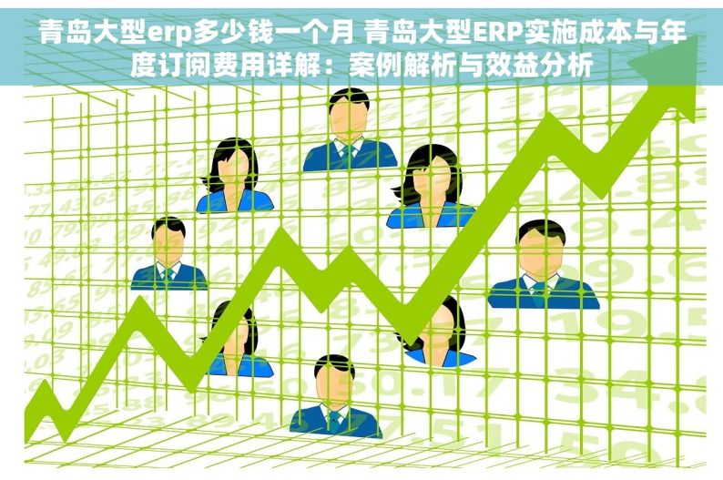 青岛大型erp多少钱一个月 青岛大型ERP实施成本与年度订阅费用详解：案例解析与效益分析