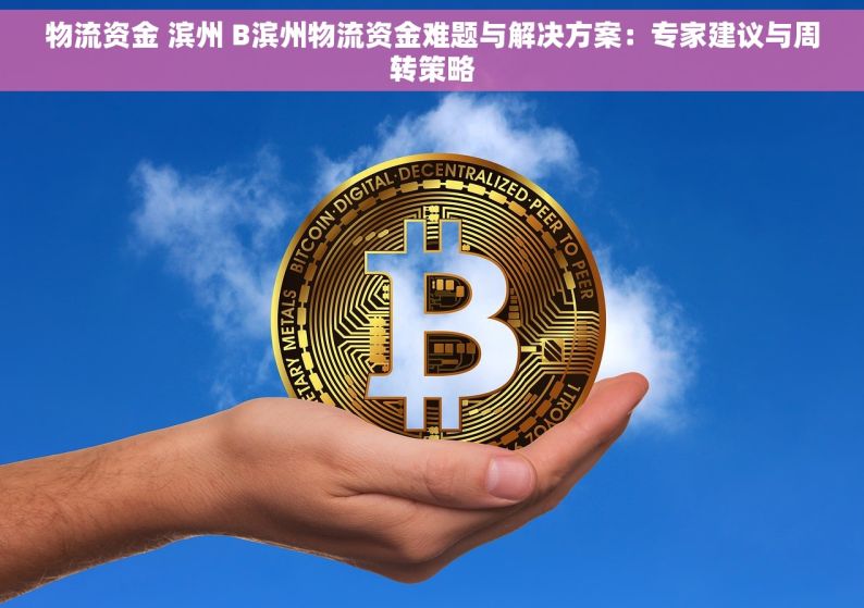 物流资金 滨州 B滨州物流资金难题与解决方案：专家建议与周转策略