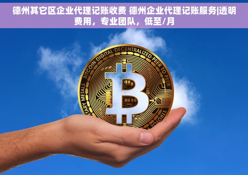 德州其它区企业代理记账收费 德州企业代理记账服务|透明费用，专业团队，低至/月