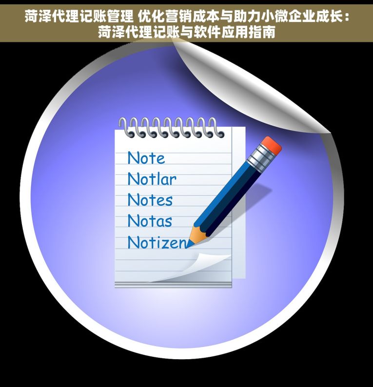 菏泽代理记账管理 优化营销成本与助力小微企业成长：菏泽代理记账与软件应用指南