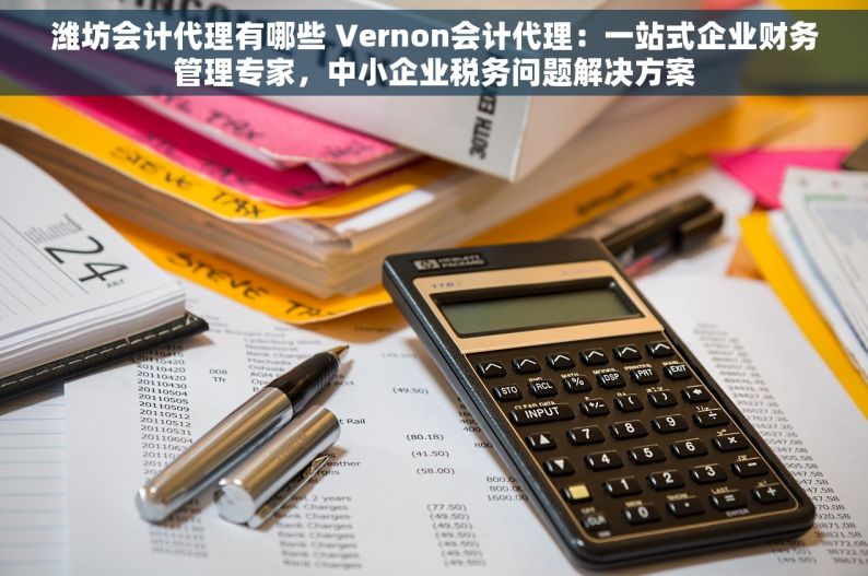 潍坊会计代理有哪些 Vernon会计代理：一站式企业财务管理专家，中小企业税务问题解决方案