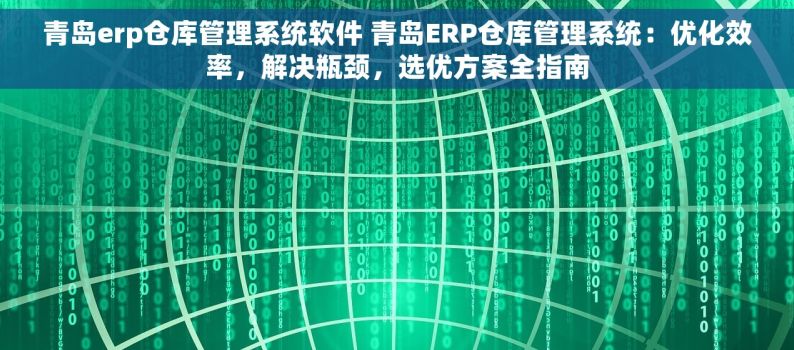 青岛erp仓库管理系统软件 青岛ERP仓库管理系统：优化效率，解决瓶颈，选优方案全指南