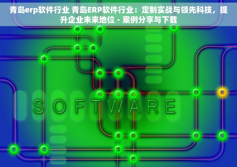 青岛erp软件行业 青岛ERP软件行业：定制实战与领先科技，提升企业未来地位 - 案例分享与下载