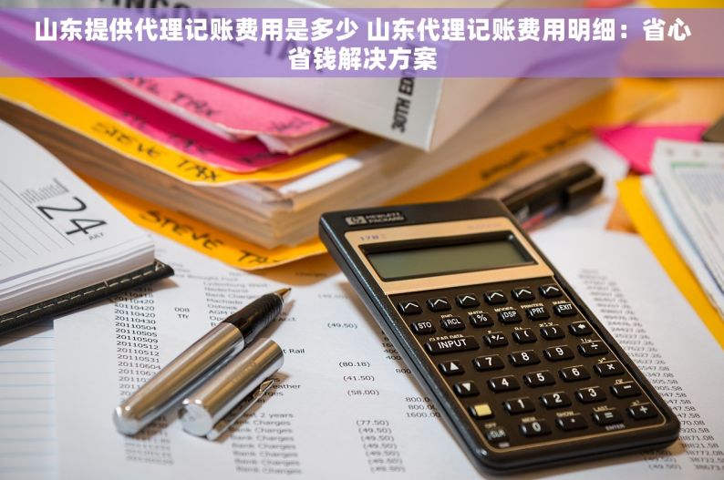 山东提供代理记账费用是多少 山东代理记账费用明细：省心省钱解决方案