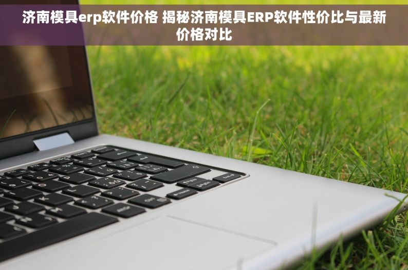 济南模具erp软件价格 揭秘济南模具ERP软件性价比与最新价格对比