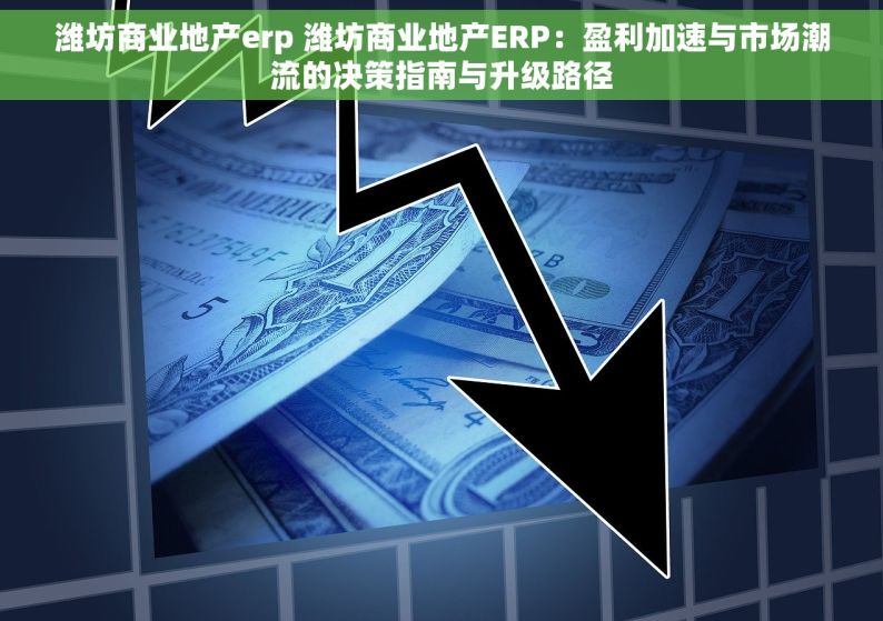 潍坊商业地产erp 潍坊商业地产ERP：盈利加速与市场潮流的决策指南与升级路径