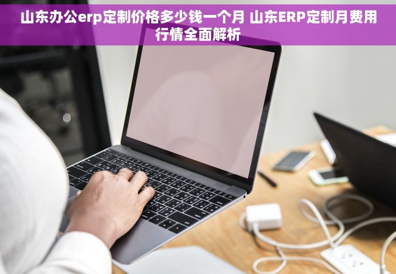 山东办公erp定制价格多少钱一个月 山东ERP定制月费用行情全面解析