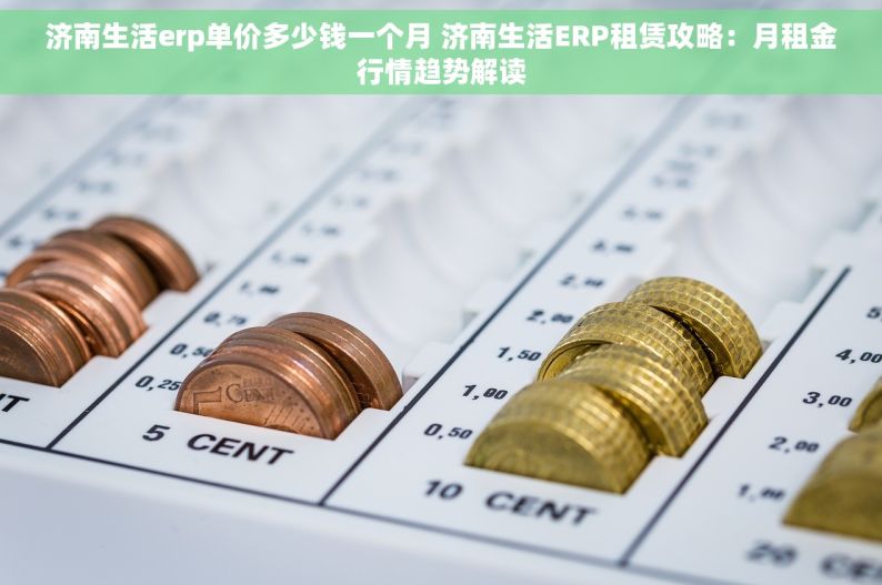 济南生活erp单价多少钱一个月 济南生活ERP租赁攻略：月租金行情趋势解读