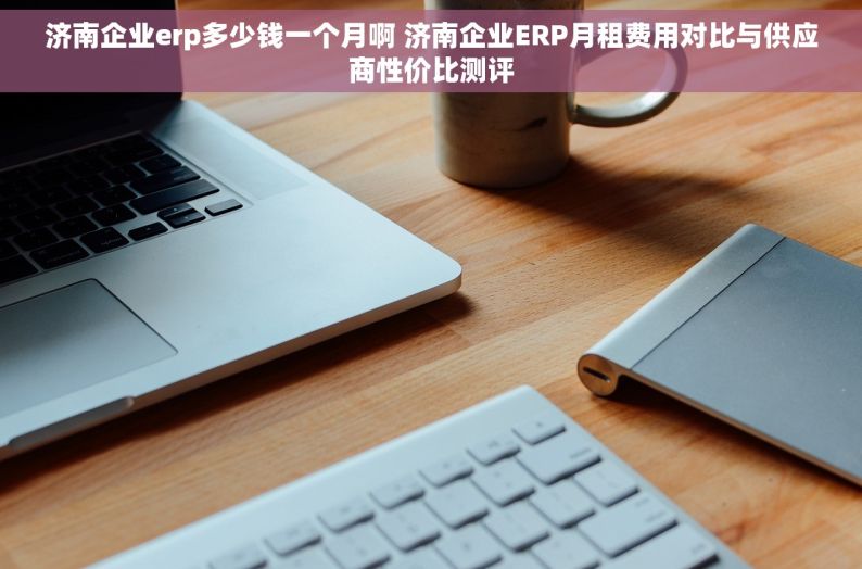 济南企业erp多少钱一个月啊 济南企业ERP月租费用对比与供应商性价比测评