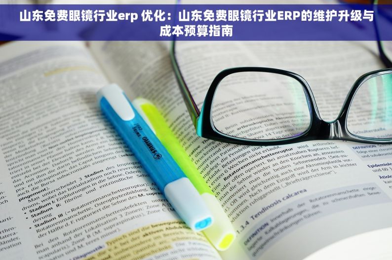 山东免费眼镜行业erp 优化：山东免费眼镜行业ERP的维护升级与成本预算指南