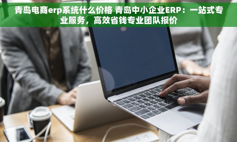 青岛电商erp系统什么价格 青岛中小企业ERP：一站式专业服务，高效省钱专业团队报价