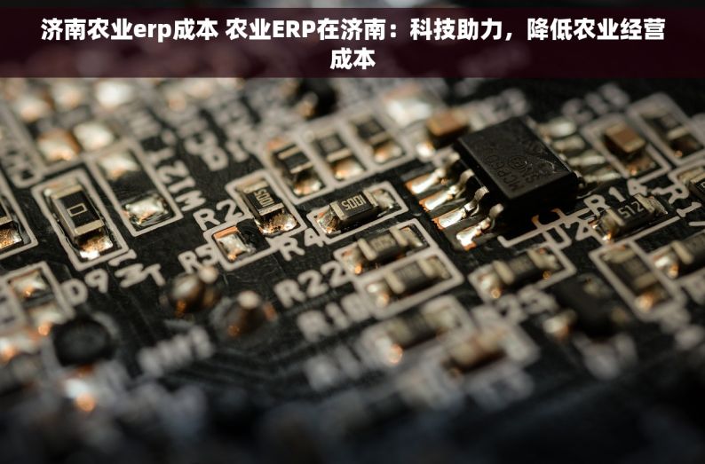 济南农业erp成本 农业ERP在济南：科技助力，降低农业经营成本