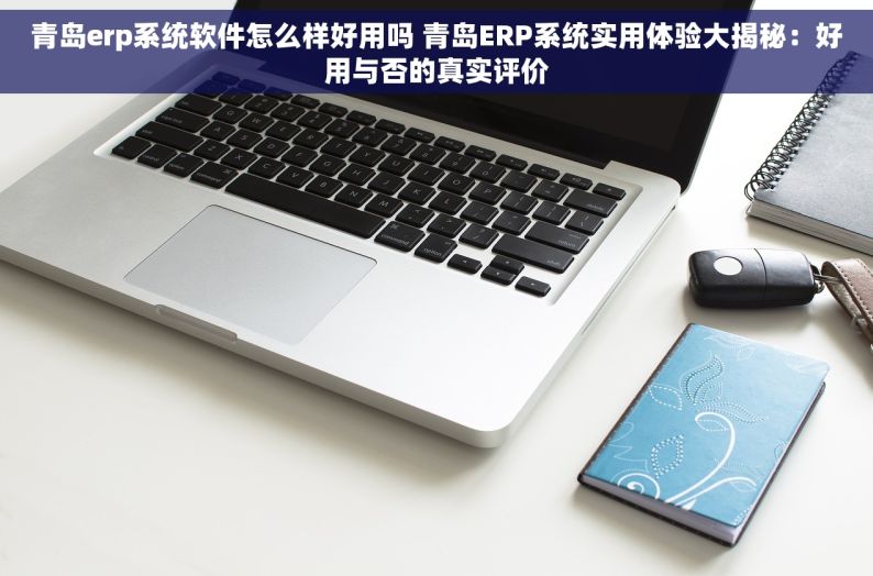 青岛erp系统软件怎么样好用吗 青岛ERP系统实用体验大揭秘：好用与否的真实评价