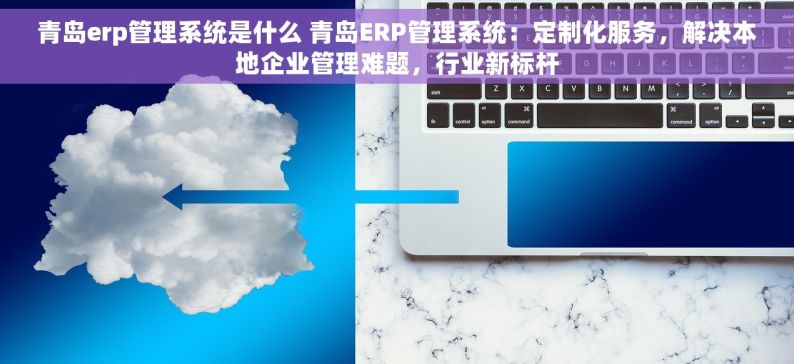 青岛erp管理系统是什么 青岛ERP管理系统：定制化服务，解决本地企业管理难题，行业新标杆