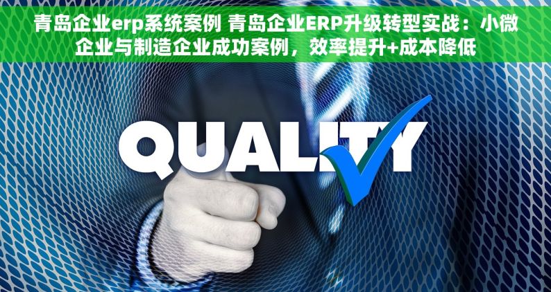 青岛企业erp系统案例 青岛企业ERP升级转型实战：小微企业与制造企业成功案例，效率提升+成本降低