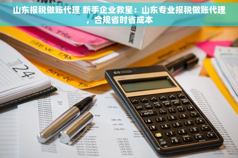 山东报税做账代理 新手企业救星：山东专业报税做账代理，合规省时省成本