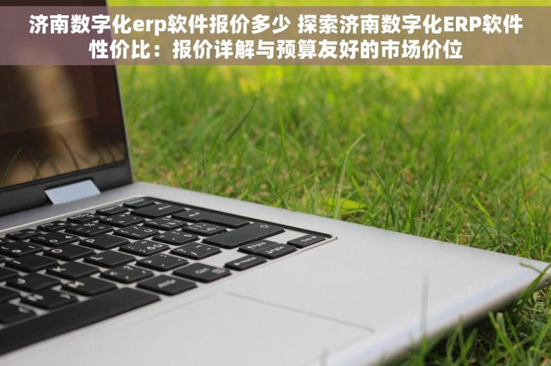 济南数字化erp软件报价多少 探索济南数字化ERP软件性价比：报价详解与预算友好的市场价位