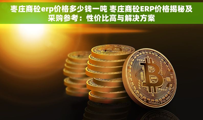 枣庄商砼erp价格多少钱一吨 枣庄商砼ERP价格揭秘及采购参考：性价比高与解决方案