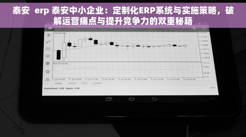 泰安  erp 泰安中小企业：定制化ERP系统与实施策略，破解运营痛点与提升竞争力的双重秘籍