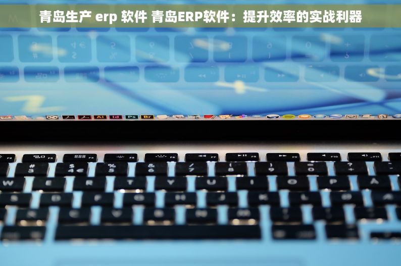 青岛生产 erp 软件 青岛ERP软件：提升效率的实战利器