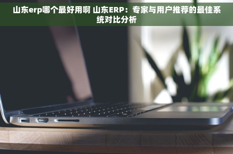 山东erp哪个最好用啊 山东ERP：专家与用户推荐的最佳系统对比分析