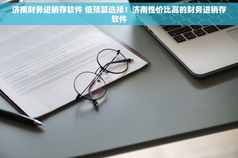 济南财务进销存软件 低预算选择！济南性价比高的财务进销存软件