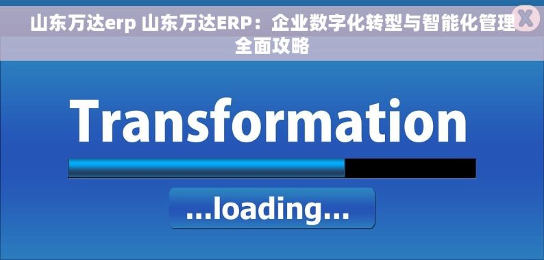 山东万达erp 山东万达ERP：企业数字化转型与智能化管理全面攻略