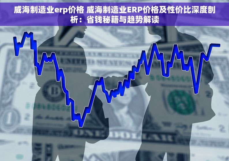 威海制造业erp价格 威海制造业ERP价格及性价比深度剖析：省钱秘籍与趋势解读