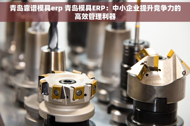 青岛靠谱模具erp 青岛模具ERP：中小企业提升竞争力的高效管理利器