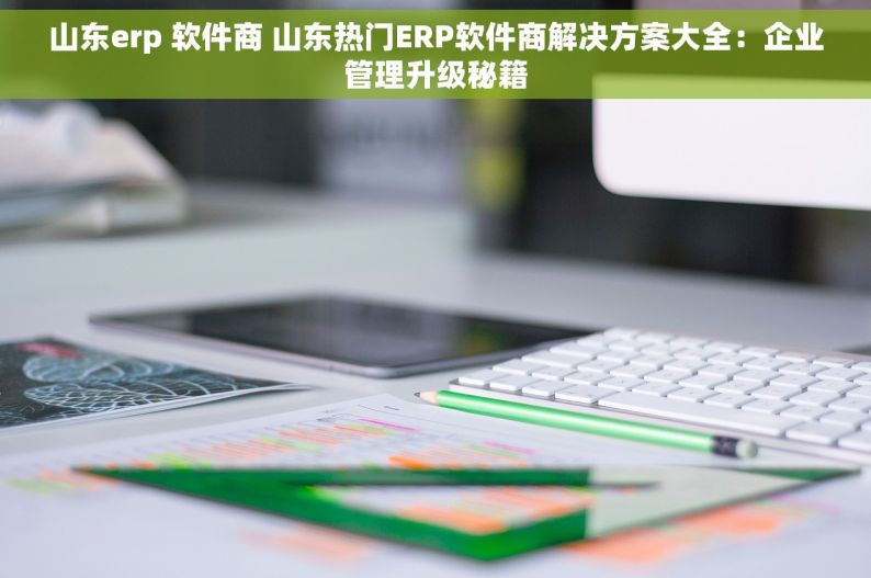 山东erp 软件商 山东热门ERP软件商解决方案大全：企业管理升级秘籍