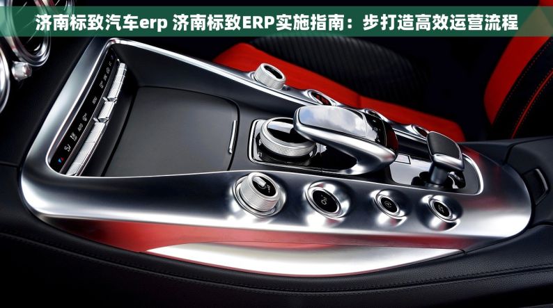 济南标致汽车erp 济南标致ERP实施指南：步打造高效运营流程